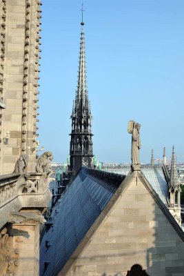 Notre-Dame de Paris - 5914