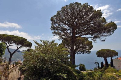 View from Villa Rufolo - 8491