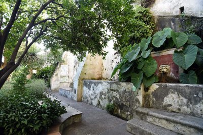 Giardino della Minerva - 9877