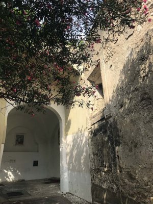 Gallery: Capri - Certosa di San Giacomo