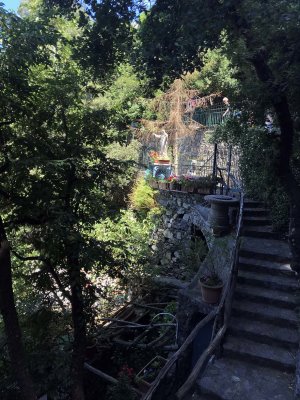 Nocelle - 5672