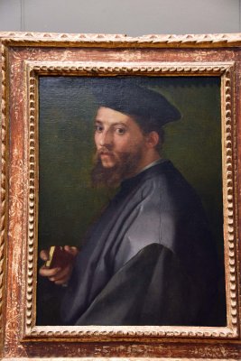 Portrait of a Man (1528-30) - Andrea del Sarto - 1127