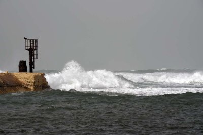 Jaffa Old Port - 2886