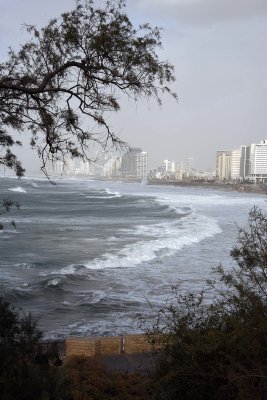 View of Tel Aviv from Abrasha Park - 2956
