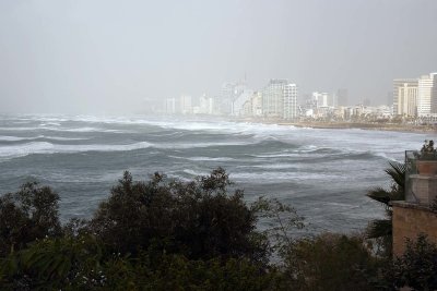 View of Tel Aviv from Abrasha Park - 2969