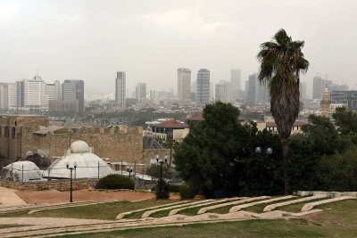 View of Tel Aviv from Abrasha Park - 3011