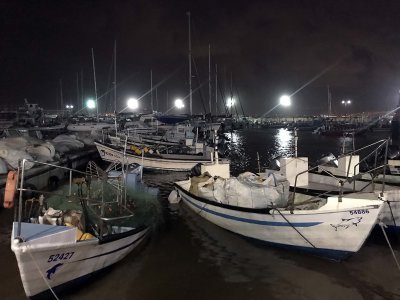 Port of Acre - 3389