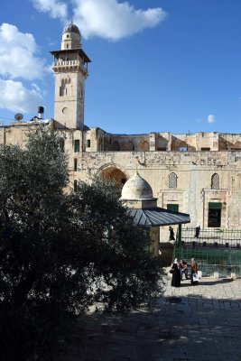 Al-Aqsa Mosque - 3702