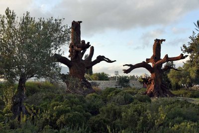 Iron Trees (2016) - Ai Weiwei - 5039