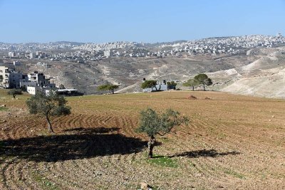 Jerusalem seen from Al-Ubeidiya - 5201