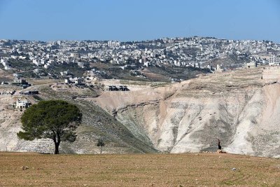 Jerusalem seen from Al-Ubeidiya - 5204