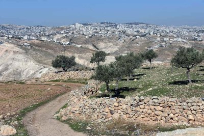 Jerusalem seen from Al-Ubeidiya - 5206