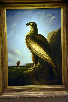 Washington Sea Eagle (1836-39) - John James Audubon - 5037