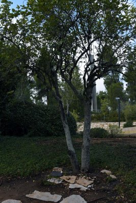 Gallery: Israel - Jerusalem - Yad Vashem
