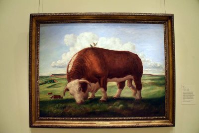 Ajax (1936-37) - John Steuart Curry - 5492