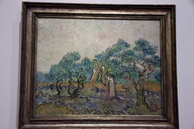 The Olive Orchard (1889) - Vincent van Gogh - 8771