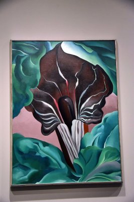 Jack-in-the-Pulpit No. 2 (1930) - Georgia O'Keeffe - 9035