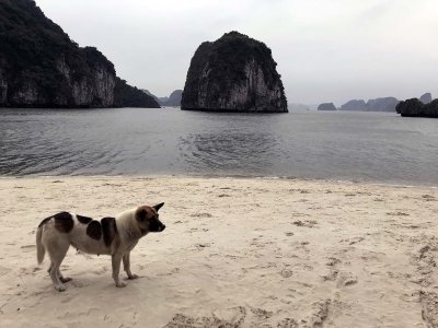 Gallery: Vietnam - Halong Bay