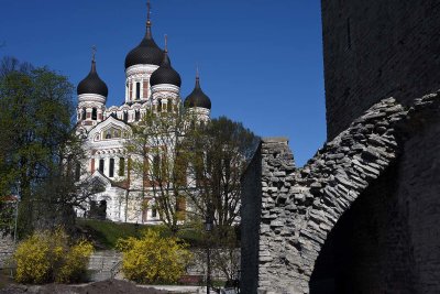 St. Alexander Nevsky Cathedral - 5513
