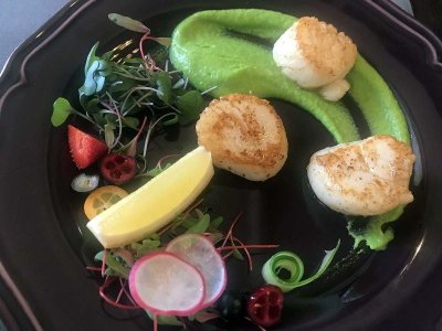 Garlic fried sea scallops - Domini Canes, Riga - 8558