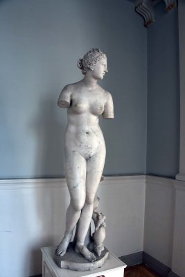 Venera Medici (19th c.) - 8563