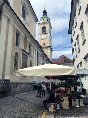 Dolnicarjeva street - 0215