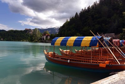 Lake Bled - 2460