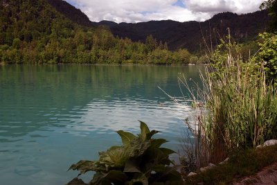 Lake Bled - 2519