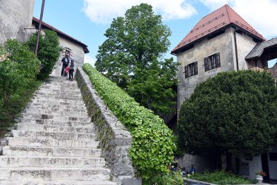 Bled Castle - 2599