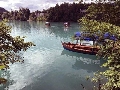 Lake Bled - 0481