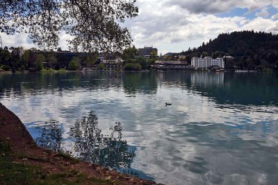 Lake Bled - 2650