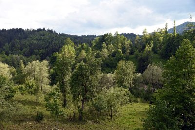 Gallery: Slovenia - Predjama Castle