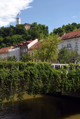 Ljubljanica - 2937