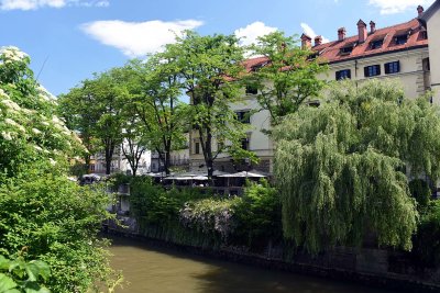 Ljubljanica - 2942