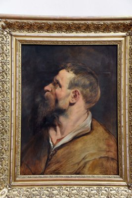 Study of a Man in Profile (1611-12) - Peter Paul Rubens - 3890