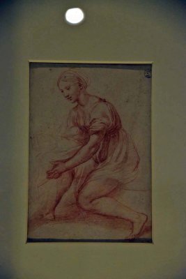 Study for the Virgin and Child of the Holy Family of Francis I (1518 -  Raffaello - Muse du Louvre, Paris - 0742