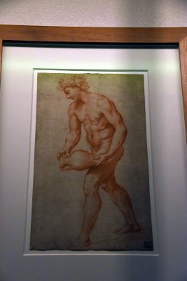 Study for Bacchus Pouring Wine  (c. 1517) - Raffaello - Pinacoteca Ambrosiana, Milano - 0825