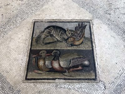 Mosaico pavimentale con gatto e anatre, 1st cent. - Roma - 3305