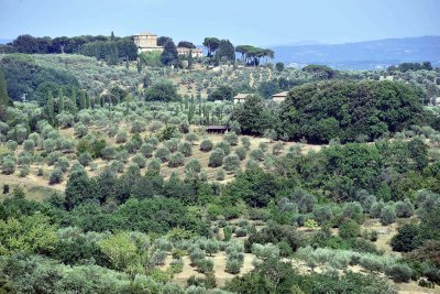 View of Tuscany seen from Piazza Guido Chigi Saracini - 2301