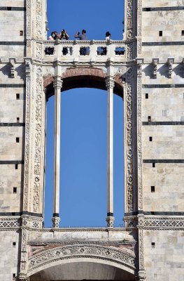 Duomo di Siena, Facciatone - 2313