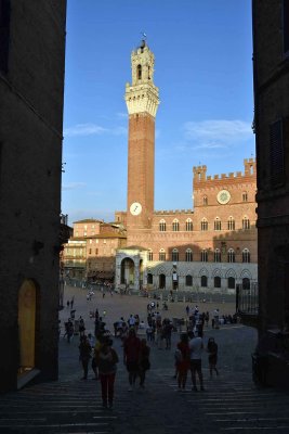 Piazza del Campo and Palazzo Pubblico - 2433