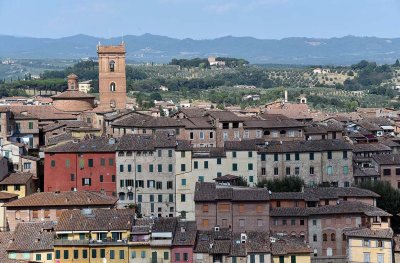 View from Siena Pinacoteca - 3077
