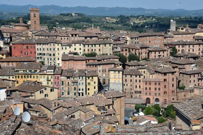 View from Siena Pinacoteca - 3135