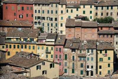 View from Siena Pinacoteca - 3137