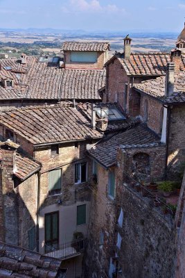 View from Siena Pinacoteca - 3144