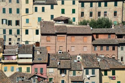 View from Siena Pinacoteca - 3251