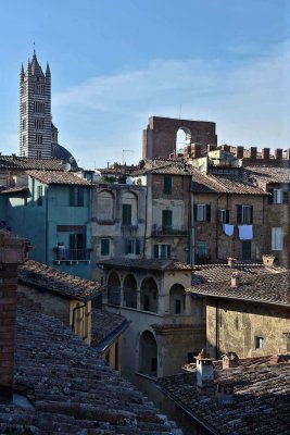 View from Siena Pinacoteca - 3542