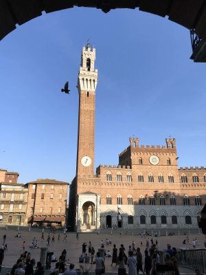 Piazza del Campo and Palazzo Pubblico - 3837