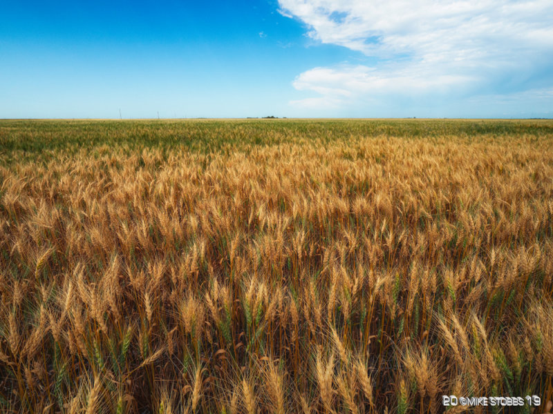 Crop Is Turning