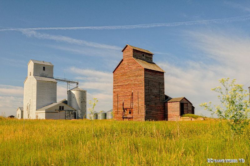 Fife Montana 2009